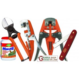 MANUAL GRAFTING SET AND COMPLEMENTARY SCISSOR STOCKER