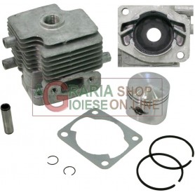 CYLINDER AND PISTON KIT FOR SLP600A HEDGE TRIMMERS