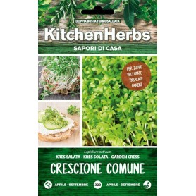KITCHEN HERBS SEEDS OF COMMON CRESS