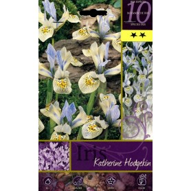 FLOWER BULBS IRIS KATHERINE HODGEKIN N. 10
