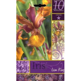 FLOWER BULBS IRIS LION KING N. 10