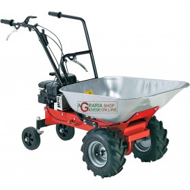 EUROSYSTEM CARRY 450 BRIGGS AND STRATTON POWER TRUCK