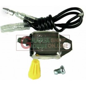 ELECTRONIC CONTROL UNIT FOR CHANGING THE IGNITION OF POINT